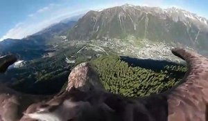 Le massif du Mont-Blanc filmé depuis un aigle pour alerter sur les effets du réchauffement climatique