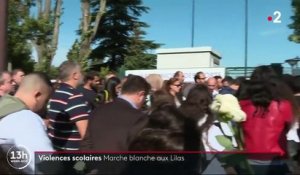 Lilas (Seine-Saint-Denis) : mobilisation contre les violences scolaires