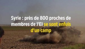 Syrie : près de 800 proches de membres de l'EI se sont enfuis d'un camp