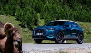 10.000 km en DS 3 Crosskback (2019)