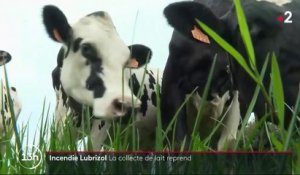 Incendie de l'usine Lubrizol : les mesures de restriction sur le lait ont été levées