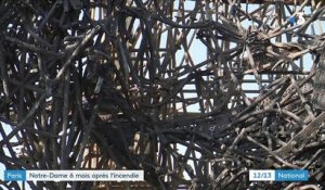 Notre-Dame de Paris : le bilan six mois après l'incendie