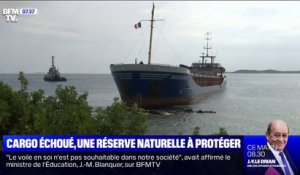 Le maire de Bonifacio s'inquiète de la protection de la réserve naturelle