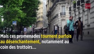 Alain Souchon veut quitter Paris, devenue « sale et violente »