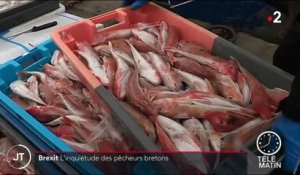 Brexit : les pêcheurs français sont inquiets
