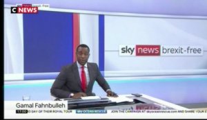 Royaume-Uni : Sky News lance une chaîne d'informations sans Brexit
