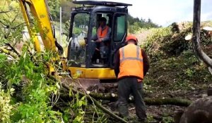 Meuse : défrichement sur le tracé de la future déviation de la RN135