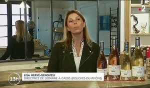 Vins français : les taxes américaines s'envolent et inquiètent les viticulteurs
