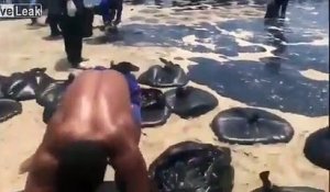 Nettoyage d'une marée noire sur une plage au Brésil