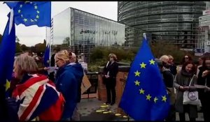 Strasbourg : la communauté britannique marche contre le Brexit