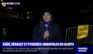 L'Aude, l'Hérault et les Pyrénées-Orientales sont en alerte orange pour orages et pluie-inondations