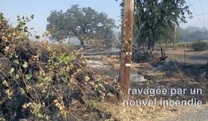 Californie: Habitations et vignobles détruits par le Kincade Fire