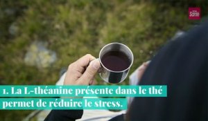 5 bonnes raisons de consommer du thé vert