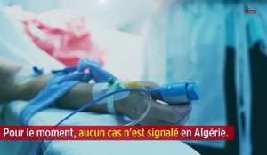 Coronavirus : l'Algérie sur le pied de guerre