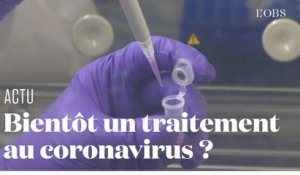 Un labo français espère trouver au plus vite un traitement contre le coronavirus