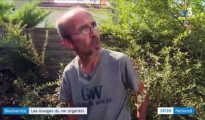 Biodiversité : un ver dévastateur infiltre les jardins français