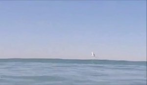 Un surfeur aperçoit un grand requin blanc qui saute hors de l'eau... Incroyable