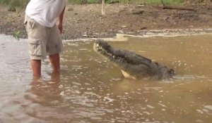 Il nourrit un énorme crocodile sauvage à la main