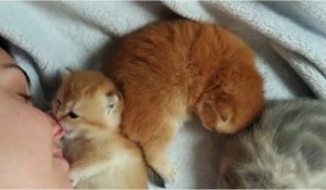 Demande En Mariage A Un Match De Catch Mignon Ou Beauf Sur Orange Videos