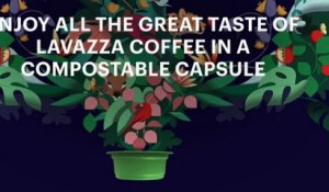 Café : des nouvelles capsules compostables