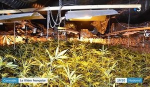 Roubaix : une saisie record de cannabis