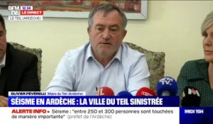 Maire du Teil: "Les assurances doivent prendre en compte dès aujourd'hui le sinistre" dû au séisme en Ardèche