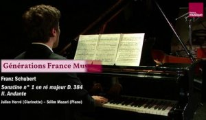 Franz Schubert : Sonatine n° 1 en ré Majeur D. 384 (Julien Hervé/Sélim Mazari)