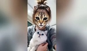 Des chats voient leur maître derrière un filtre Chat