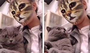 Chats vs filtre chat