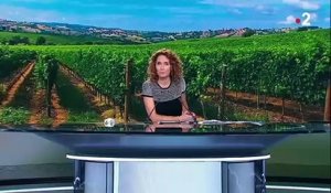 Taxes américaines sur les produits européens : une catastrophe pour les viticulteurs français
