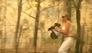 Incendies en Australie : une femme se précipite pour sauver un koala piégé et brûlé et suscite l'émoi des internautes