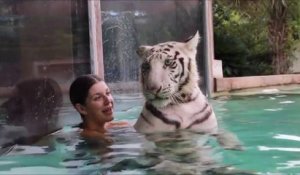 Elle nage avec son magnifique tigre blanc