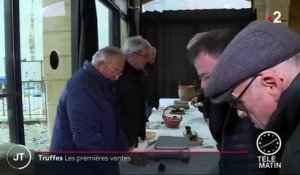 Dordogne : premières ventes de truffes