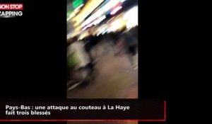 Pays-Bas : une attaque au couteau à La Haye fait trois blessés (vidéo)