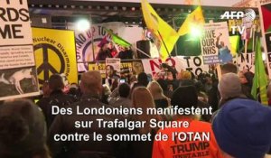 Manifestation à Londres contre le sommet de l'OTAN et la visite de Trump