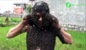 Cet homme se couvre le corps de milliers d'abeilles