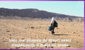 La Tunisie face à son destin écologique