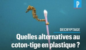 Interdiction du coton-tige en plastique : les alternatives pour le remplacer