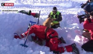 Avalanches : les sauveteurs et leurs chiens s'entraînent pour éviter le pire