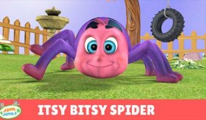 Itsy Bitsy Spider - Jamil and Jamila Songs for Children