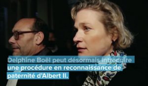 Affaire Delphine Boël: la cour de cassation rejette le pourvoi du Roi
