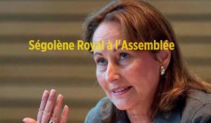 Ségolène Royal à l'Assemblée pour se justifier de sa fonction d'ambassadrice des pôles