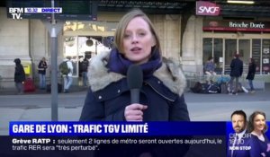 Grève SNCF: le trafic TGV est toujours très limité