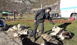 Vassieux-en-Vercors : balade avec un musher… sans neige