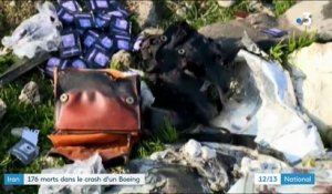 Iran : 176 morts dans le crash d'un Boeing