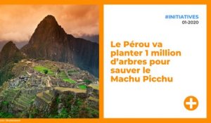 Le Pérou va planter 1 million d’arbres pour sauver le Machu Picchu