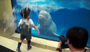 Hilarant : ce dauphin joue et arrose un enfant