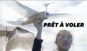Ce pigeon robot pourrait enfin nous apprendre à voler comme les oiseaux
