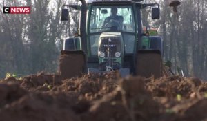 "Agribashing" : les agriculteurs lassés par les attaques contre le monde agricole