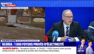 Tempête Gloria: le préfet des Pyrénées-Orientales déclare que "1000 foyers sont privés d'électricité" à 11h30